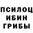 Псилоцибиновые грибы GOLDEN TEACHER Shlim S