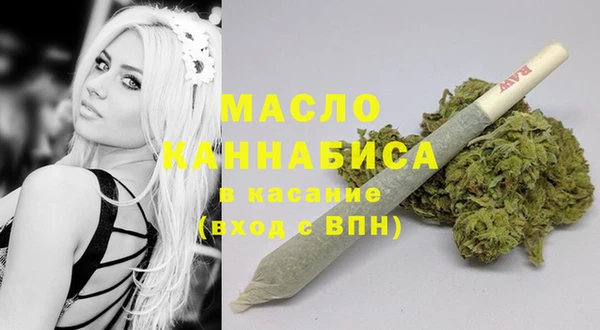 тгк Бородино