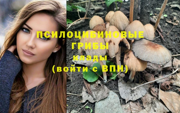 тгк Бородино