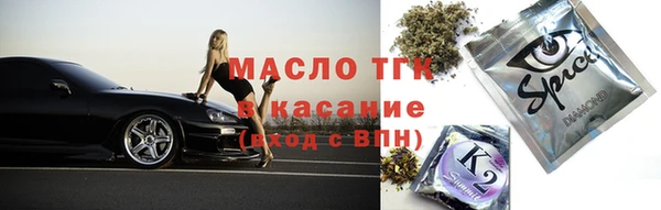 тгк Бородино