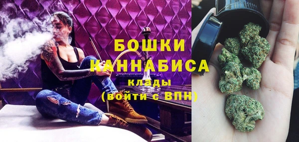 тгк Бородино