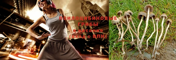 2c-b Бронницы