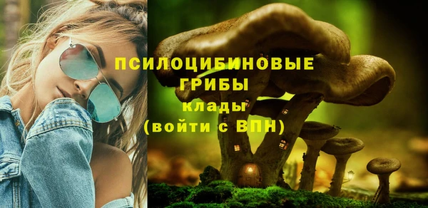 2c-b Бронницы