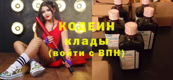 тгк Бородино