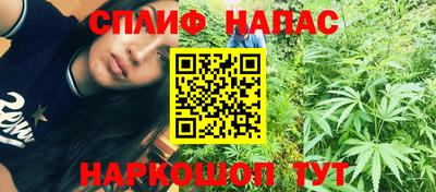гашик Малоярославец