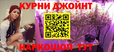 гашик Малоярославец