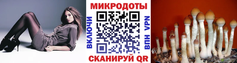 Псилоцибиновые грибы GOLDEN TEACHER  Волоколамск 