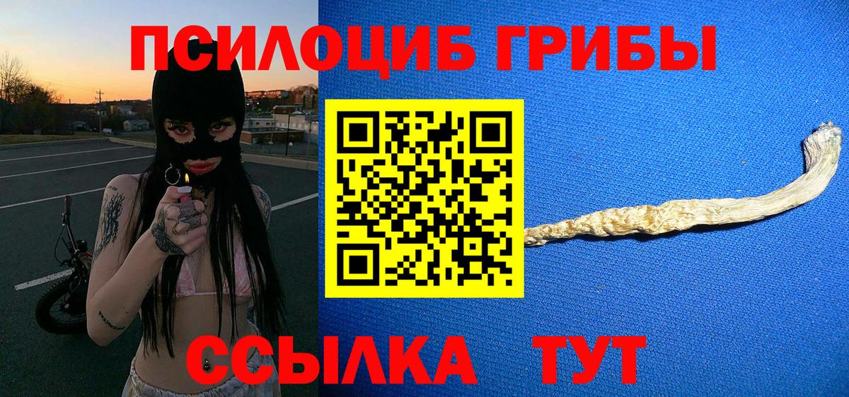 Галлюциногенные грибы Cubensis Волоколамск